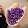 35 фиолетовых ирисов
